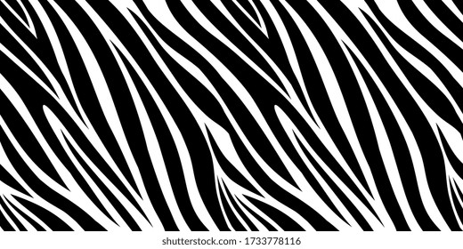 Zebra skin pattern. Animal print, black and white stripes background. Africa jungle, wildlife vector seamless texture