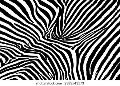 Zebra skin pattern. Black and white background