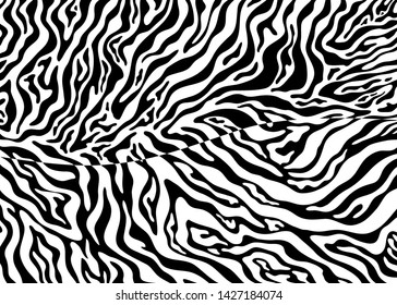 Zebra skin pattern design. Abstract animal print vector illustration background. Wildlife fur skin design illustration. For web, home decor, fashion, surface, graphic design