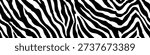 Zebra skin pattern. Seamless zebra texture, vector background