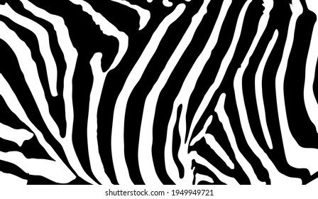 Ilustración vectorial de patrón de piel de cebra. Cebra con huellas de animales salvajes, símbolo de piel de África. Lujo en el fondo. Bandera de cebra.