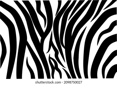 Zebra skin pattern vector illustration