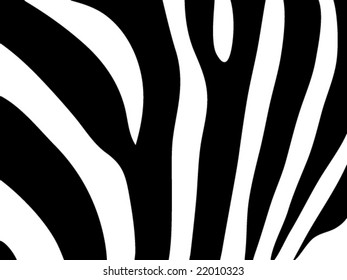 zebra skin pattern - vector image