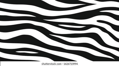 Zebra skin, stripes pattern. Animal print, black and white detailed and realistic texture. Monochrome seamless background. Vector