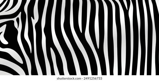 Zebra skin texture black and white pattern vector background