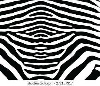 Zebra skin texture, vector illustration