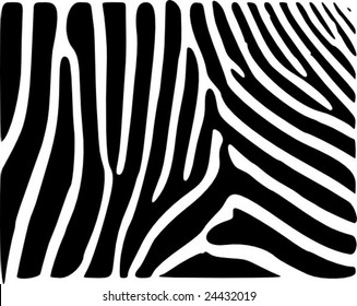 Zebra Skin Pattern Vector Illustration Stock Vector (Royalty Free ...