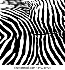 zebra skin vector background