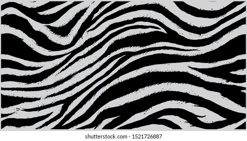 Zebra skin,stripes pattern. Animal print, black and white detailed and realistic texture. Monochrome seamless background. 