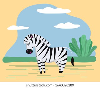 Zebra stand in safari or savanna. Wild character in wilderness or zoo. Animal use black and white striped coat as camouflage. Nature, landscape with spruces and sand. Vector illustration in flat style