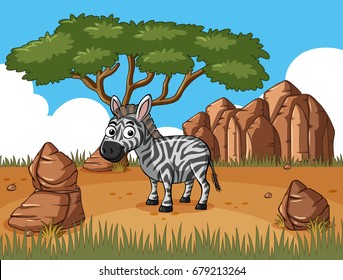 Cebra de pie en la ilustración de campo