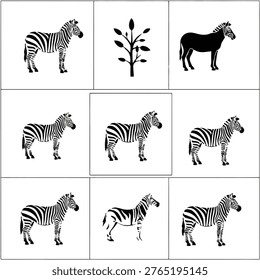 Zebra standing in profile view
