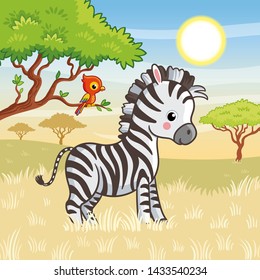 Zebra is standing in the savannah. Vector illustration with animal on the theme of Africa. Cute zebra in cartoon style.