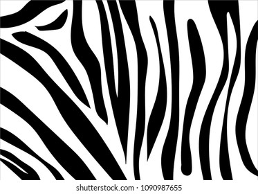 Zebra Print Zebra Stripes Black White Stock Vector (Royalty Free ...