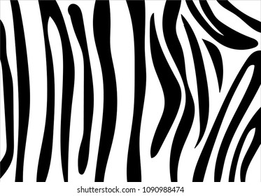 zebra stripe background.vector illustration pattern