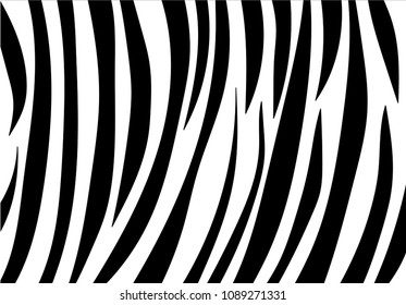 zebra stripe background.vector pattern