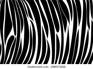 zebra stripe background.vector pattern