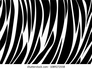 zebra stripe background.vector pattern