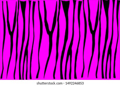 Zebra stripe pattern on pink background hand drawn in vector. Ready-made illustrations for postcards, posters, notebooks, textiles, packaging and design.