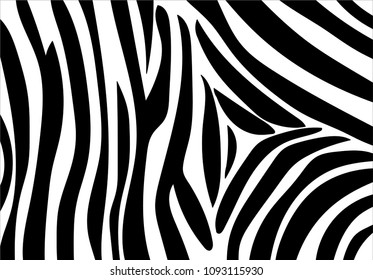 zebra stripe pattern.vector background