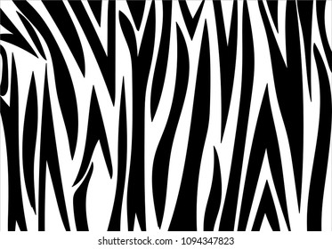 zebra stripe pattern.vector background