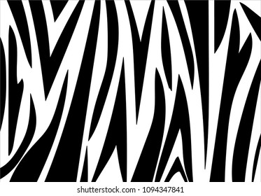 zebra stripe pattern.vector background