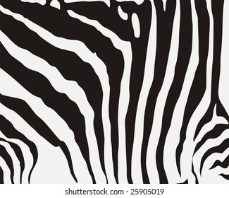 zebra stripes