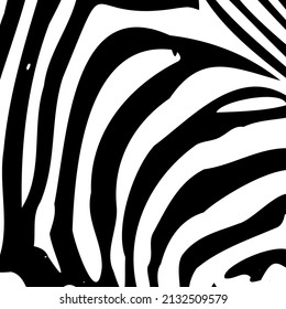Zebra stripes background. Vector illustration