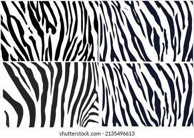  Zebra  stripes background,Illustration of seamless zebra pattern, Abstract pattern of zebra animal skin in black and white abstract zigzag lines vector illustration.