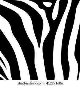 Zebra Stripes Black and white background. Vector illustration