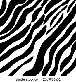 zebra stripes icon, vector, illustration, background