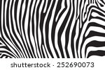 Zebra stripes pattern, illustration