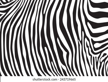 Zebra Stripes Pattern, Illustration