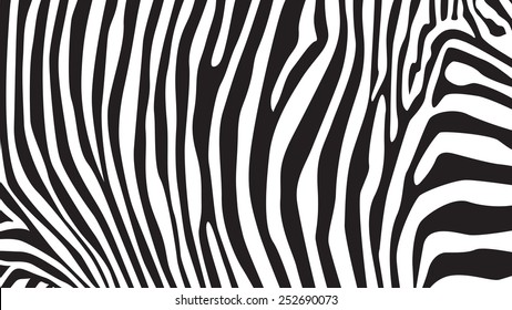 Zebra stripes pattern, illustration
