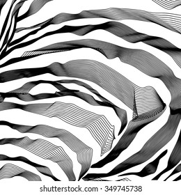 Zebra Stripes Pattern outline background. Vector illustration. EPS