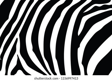 Zebra Stripes Pattern. Zebra print, animal skin, tiger stripes, abstract pattern, line background, fabric. Amazing hand drawn vector illustration. Poster, banner. Black and white artwork monochrome