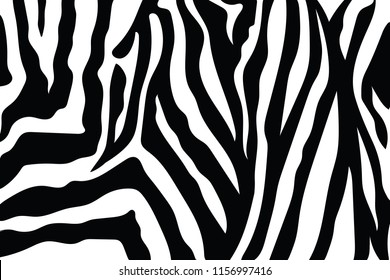 Zebra Stripes Pattern. Zebra print, animal skin, tiger stripes, abstract pattern, line background, fabric. Amazing hand drawn vector illustration. Poster, banner. Black and white artwork monochrome