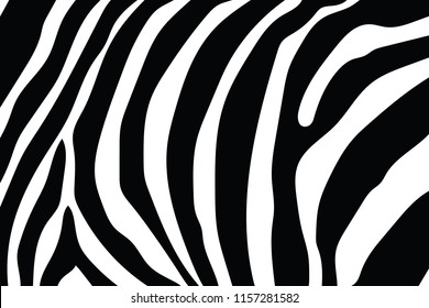 Zebra Stripes Pattern. Zebra print, animal skin, tiger stripes, abstract pattern, line background, fabric. Amazing hand drawn vector illustration. Poster, banner. Black and white artwork monochrome