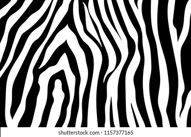 Zebra pattern Images, Stock Photos & Vectors | Shutterstock