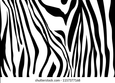 Zebra Stripes Pattern. Zebra print, animal skin, tiger stripes, abstract pattern, line background, fabric. Amazing hand drawn vector illustration. Poster, banner. Black and white artwork monochrome