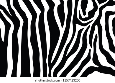 Zebra Print Vector Stock Vector (Royalty Free) 1036614871