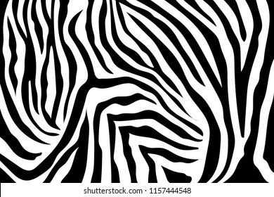 Zebra Stripes Pattern. Zebra print, animal skin, tiger stripes, abstract pattern, line background, fabric. Amazing hand drawn vector illustration. Poster, banner. Black and white artwork monochrome