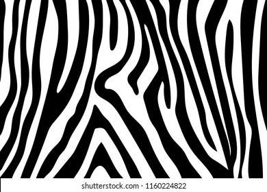 Zebra Print Zebra Stripes Black White Stock Vector (Royalty Free ...