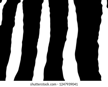 Zebra Stripes Pattern. Zebra print, animal skin, tiger stripes, abstract pattern, line background, fabric. Amazing hand drawn vector illustration. Poster, banner. Black and white artwork.