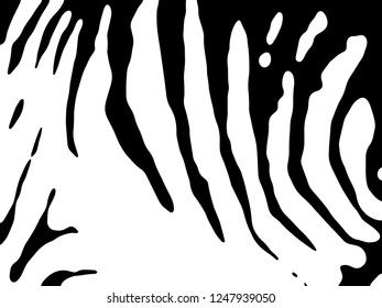 Zebra Stripes Pattern. Zebra print, animal skin, tiger stripes, abstract pattern, line background, fabric. Amazing hand drawn vector illustration. Poster, banner. Black and white artwork.