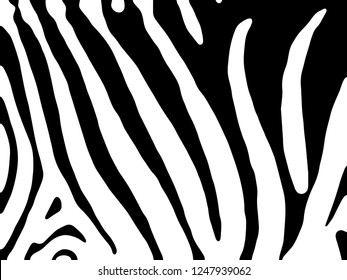 Zebra Stripes Pattern. Zebra print, animal skin, tiger stripes, abstract pattern, line background, fabric. Amazing hand drawn vector illustration. Poster, banner. Black and white artwork.