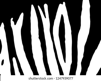 Zebra Stripes Pattern. Zebra print, animal skin, tiger stripes, abstract pattern, line background, fabric. Amazing hand drawn vector illustration. Poster, banner. Black and white artwork.