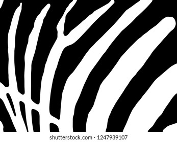 Zebra Stripes Pattern. Zebra print, animal skin, tiger stripes, abstract pattern, line background, fabric. Amazing hand drawn vector illustration. Poster, banner. Black and white artwork.