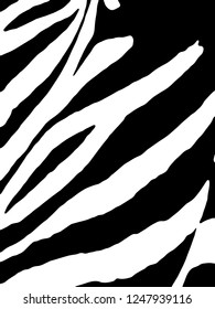 Zebra Stripes Pattern. Zebra print, animal skin, tiger stripes, abstract pattern, line background, fabric. Amazing hand drawn vector illustration. Poster, banner. Black and white artwork.