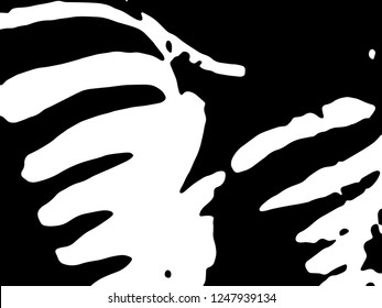 Zebra Stripes Pattern. Zebra print, animal skin, tiger stripes, abstract pattern, line background, fabric. Amazing hand drawn vector illustration. Poster, banner. Black and white artwork.
